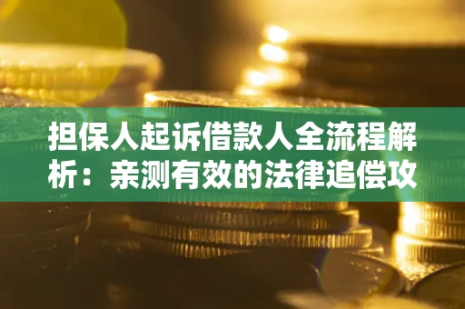武汉担保人起诉借款人全流程解析：亲测有效的法律追偿攻略