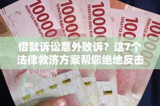 武汉借款诉讼意外败诉？这7个法律救济方案帮您绝地反击！