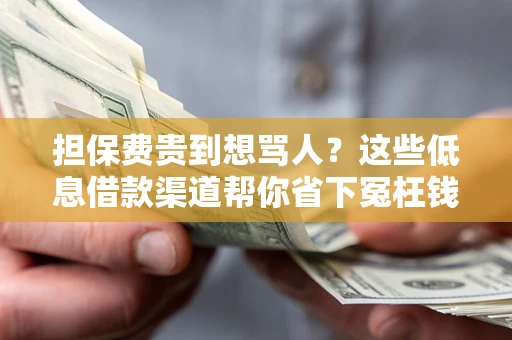 武汉担保费贵到想骂人？这些低息借款渠道帮你省下冤枉钱