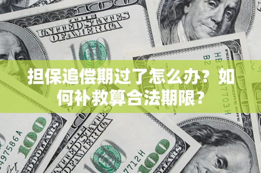 武汉担保追偿期过了怎么办？如何补救算合法期限？