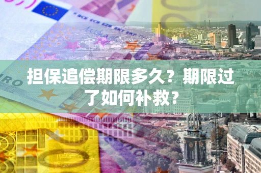武汉担保追偿期限多久？期限过了如何补救？