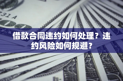 武汉借款合同违约如何处理？违约风险如何规避？