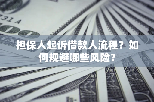 武汉担保人起诉借款人流程？如何规避哪些风险？