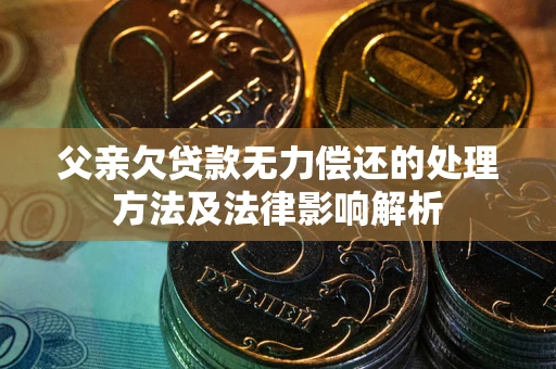 武汉父亲欠贷款无力偿还的处理方法及法律影响解析